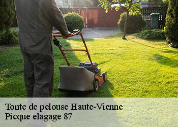 Tonte de pelouse 87 Haute-Vienne  Picque elagage 87