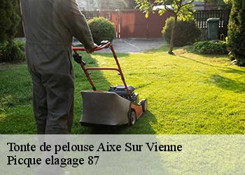 Tonte de pelouse  aixe-sur-vienne-87700 Picque elagage 87