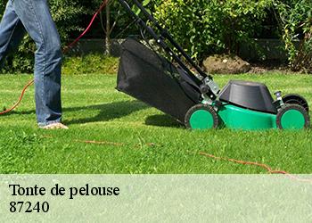 Tonte de pelouse  87240