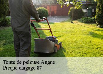 Tonte de pelouse  augne-87120 Picque elagage 87