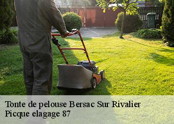 Tonte de pelouse  bersac-sur-rivalier-87370 Picque elagage 87