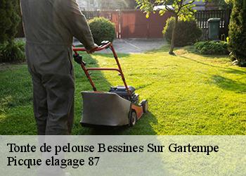 Tonte de pelouse  bessines-sur-gartempe-87250 Picque elagage 87