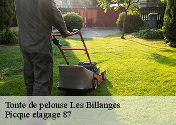 Tonte de pelouse  les-billanges-87340 Picque elagage 87