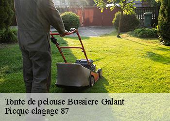 Tonte de pelouse  bussiere-galant-87230 Picque elagage 87