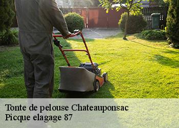 Tonte de pelouse  chateauponsac-87290 Picque elagage 87