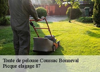 Tonte de pelouse  coussac-bonneval-87500 Picque elagage 87