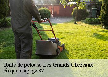 Tonte de pelouse  les-grands-chezeaux-87160 Picque elagage 87