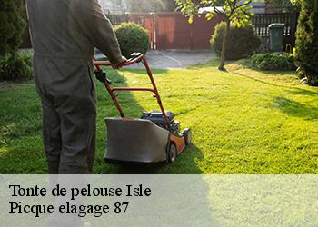 Tonte de pelouse  isle-87170 Picque elagage 87