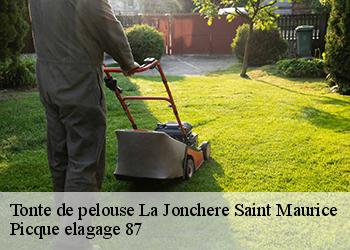 Tonte de pelouse  la-jonchere-saint-maurice-87340 Picque elagage 87