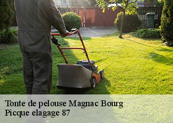 Tonte de pelouse  magnac-bourg-87380 Picque elagage 87