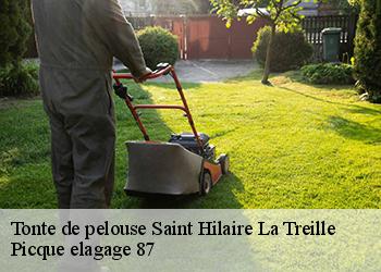 Tonte de pelouse  saint-hilaire-la-treille-87190 Picque elagage 87