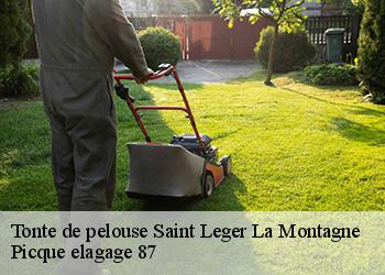 Tonte de pelouse  saint-leger-la-montagne-87340 Picque elagage 87